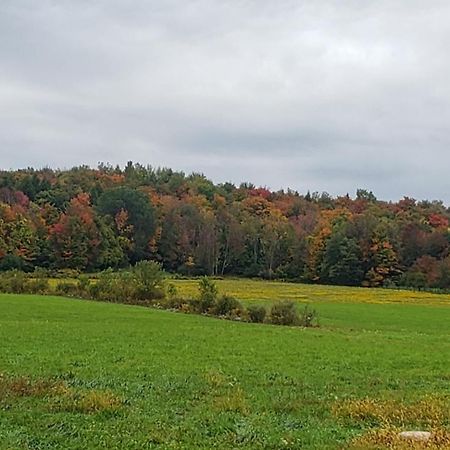 Cozy Country Farm Stay Fredonia Bagian luar foto